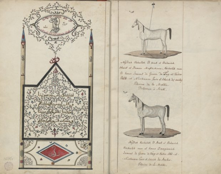 ورقة من مخطوطات المستشرق البولندي