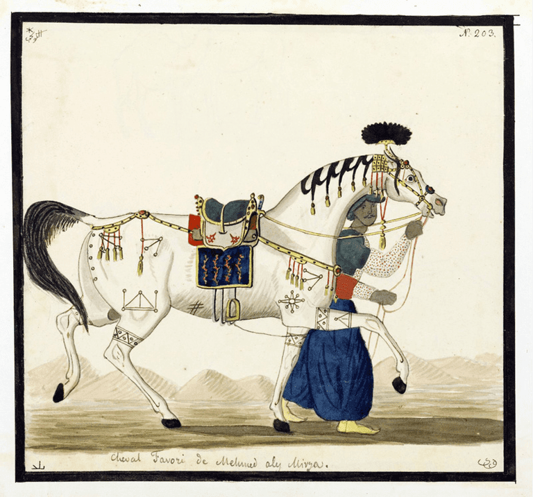 ورقة من مخطوطات المستشرق البولندي