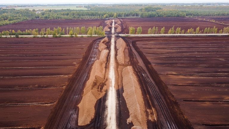 سباخ المستنقعات في شمال أوروبا