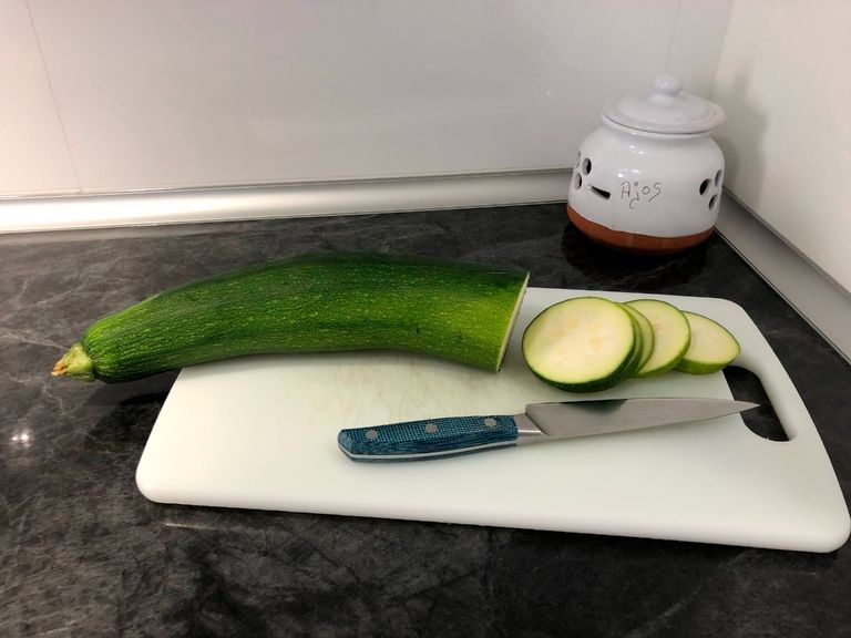 الكوسة غذاء شديد التنوع يمكن من خلاله تحضير عدد كبير من الوصفات