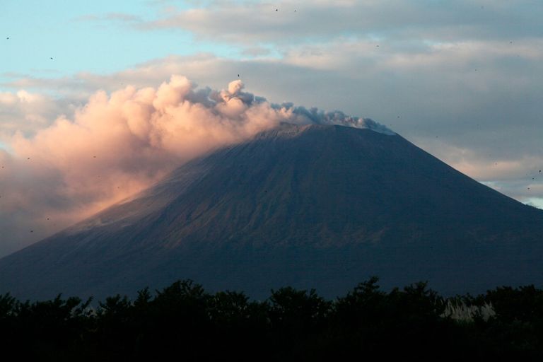 بركان لا بالما