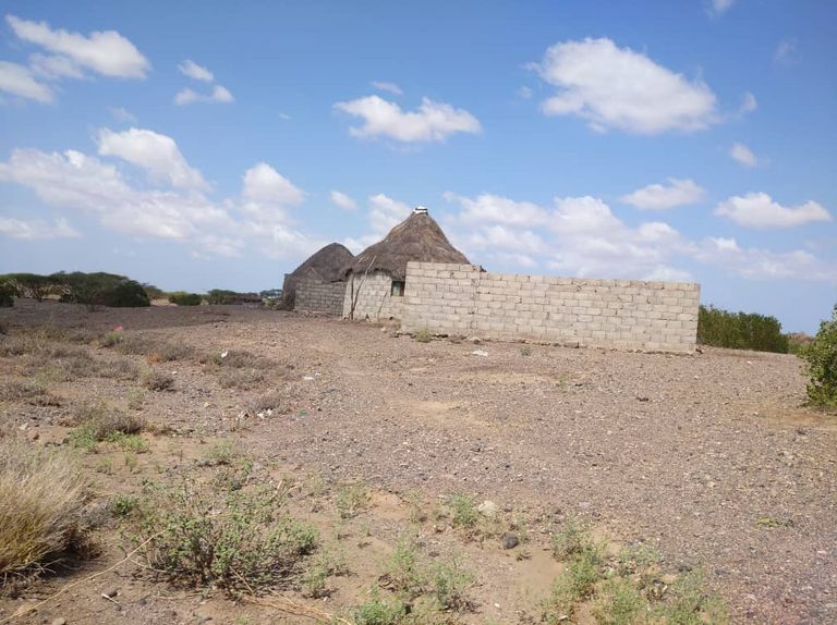 الألغام الحوثية صغيرة الحجم تهدد السكان لعشرات السنين