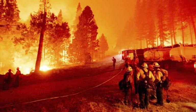 حريق في إحدى غابات كاليفورنيا (أرشيفية)