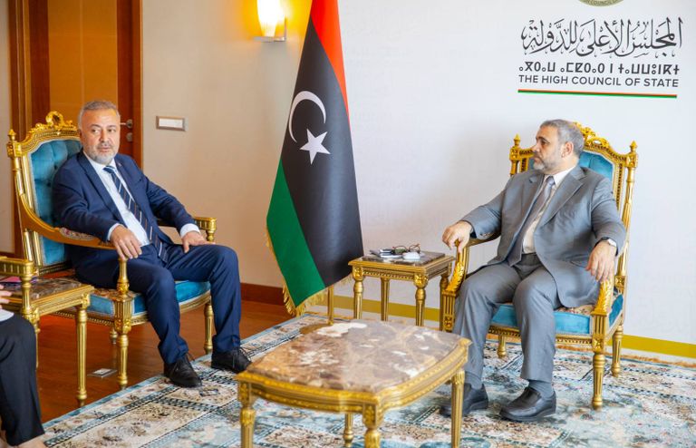 خالد المشري ورجب طيب أردوغان - أرشيفية