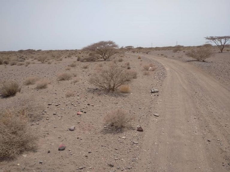 فخاخ الحوثي تحرم مزارعي اليمن من فلاحة أراضهم