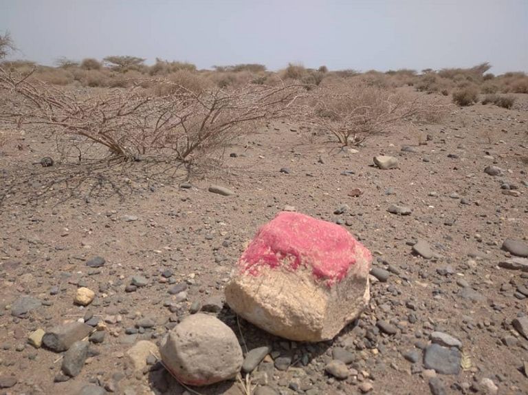 فخاخ الحوثي تحرم مزارعي اليمن من فلاحة أراضهم