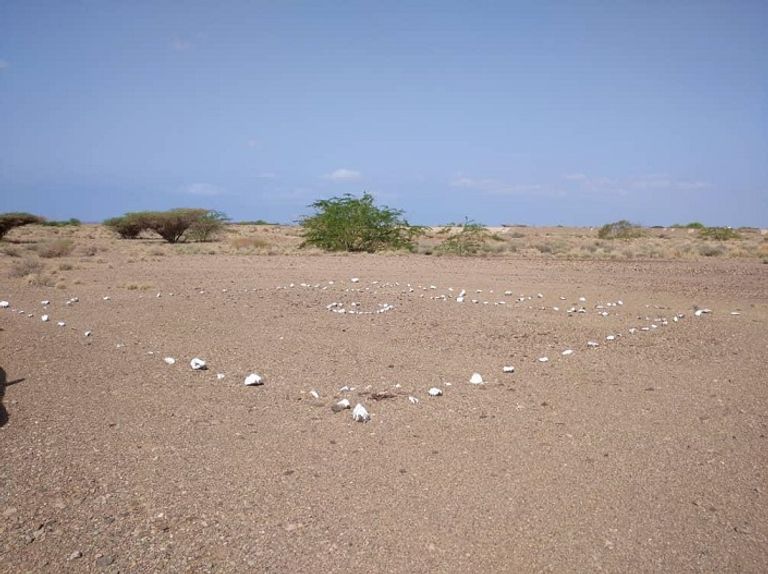 فخاخ الحوثي تحرم مزارعي اليمن من فلاحة أراضهم