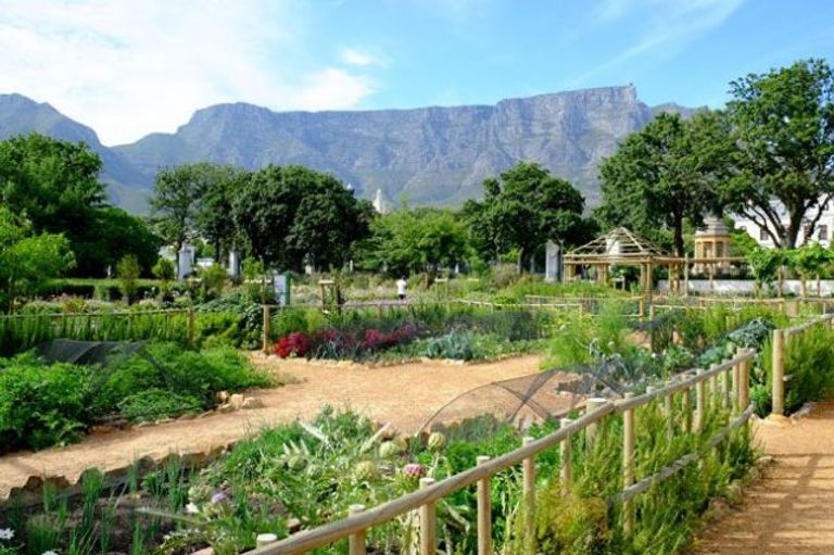 شركة حدائق في كيب تاون ، جنوب أفريقيا