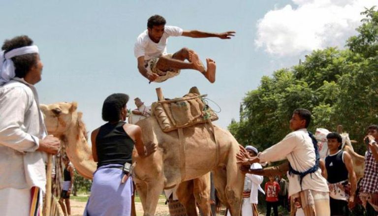  القفز على الجمال من الألعاب التهامية التراثية باليمن
