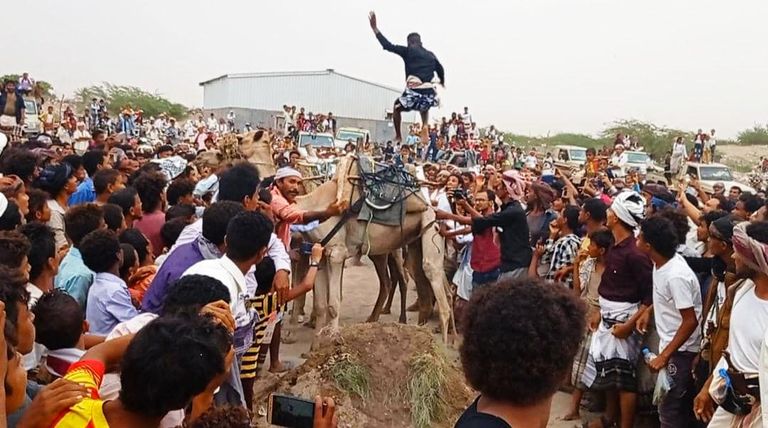 القفز على الجمال من الألعاب التهامية التراثية باليمن
