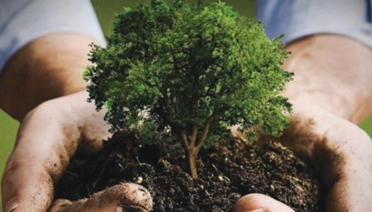 مبادرة "السعودية الخضراء" تستهدف زراعة 10 مليارات شجرة بالمملكة
