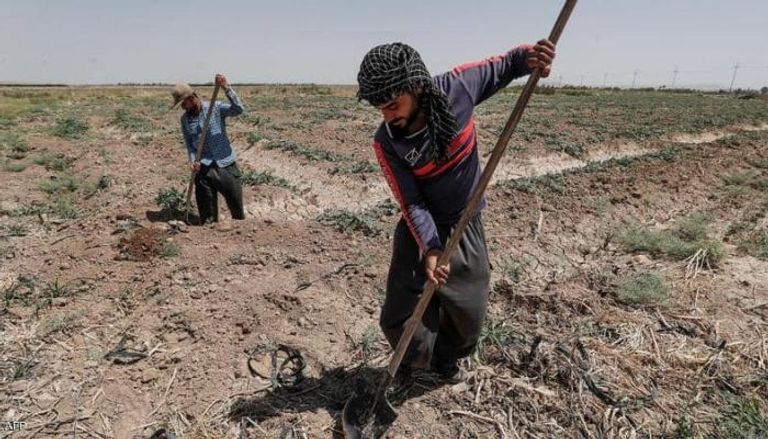 مزارعون عراقيون 