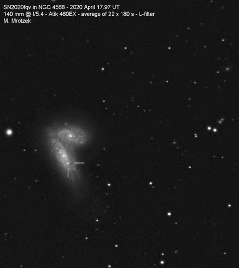 شهد علماء الفلك مؤخرًا انفجار سوبر نوفا SN 2020fqv داخل مجرات الفراشة المتفاعلة