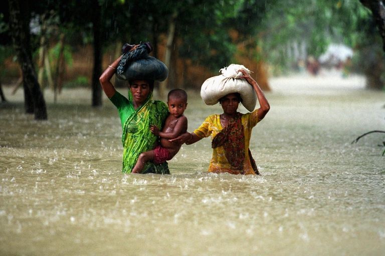 جانب من الحرائق التي اندلعت هذا الصيف