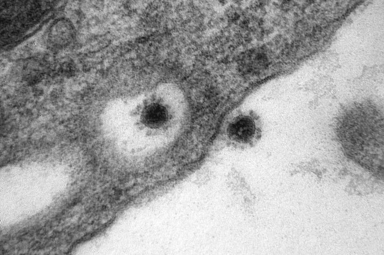 اكتشف متحور دلتا في أكتوبر 2020