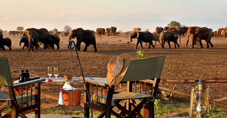 السفاري في كينيا