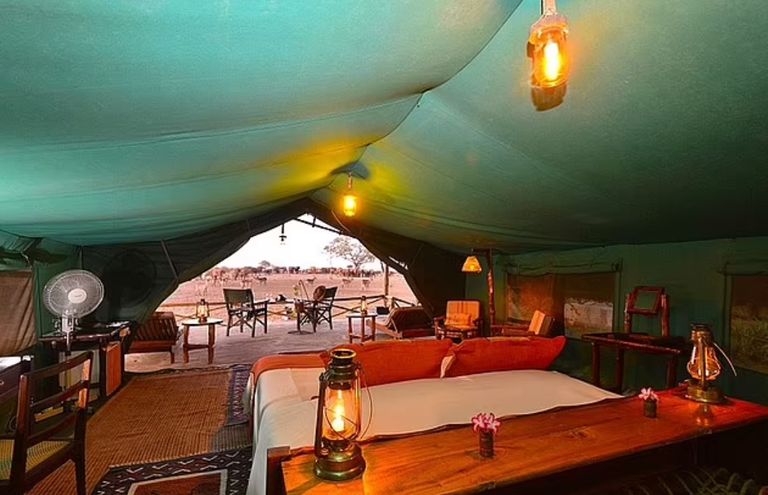 السفاري في كينيا