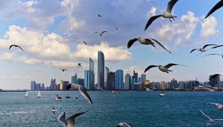 مبادرات المناخ تضع الإمارات في صدارة الباحثين عن الاستدامة