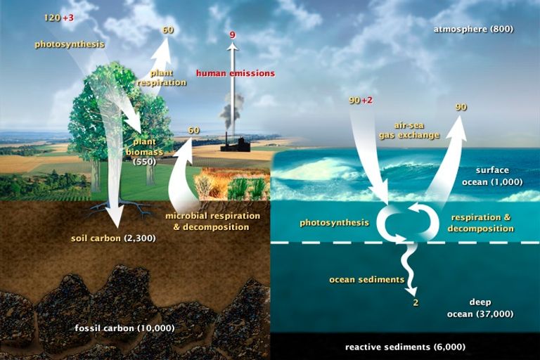 الائتمان الكربوني.. نسألكم الرصيد الآمن