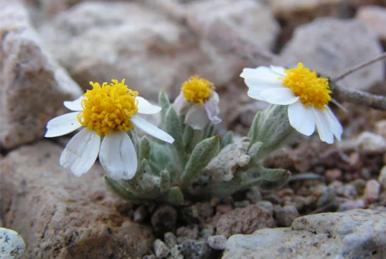 التغير المناخي