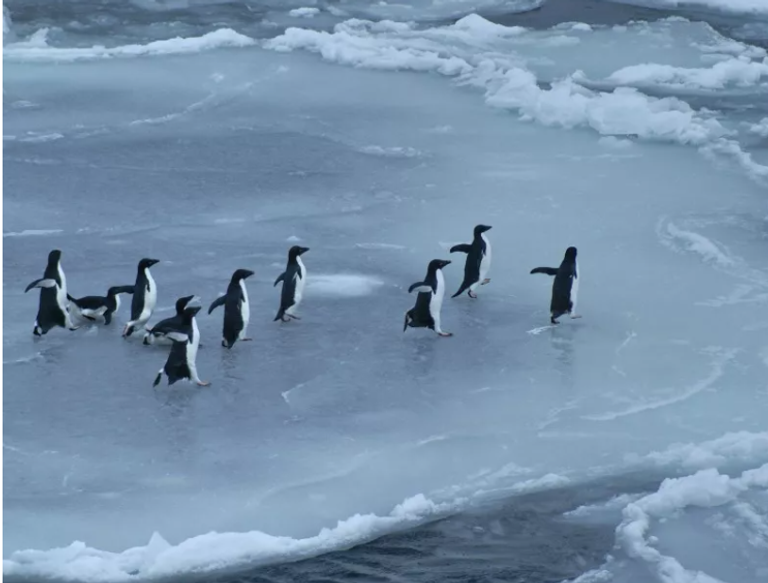 التغير المناخي