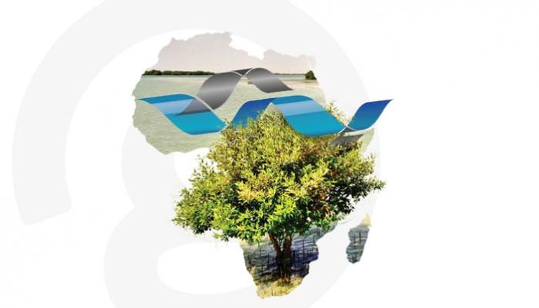 قمة أقدر العالمية تطلق حملة شجرة الخمسين
