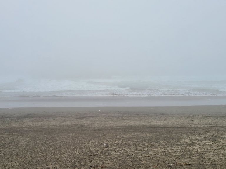 أمطار غزيرة في كاليفورنيا