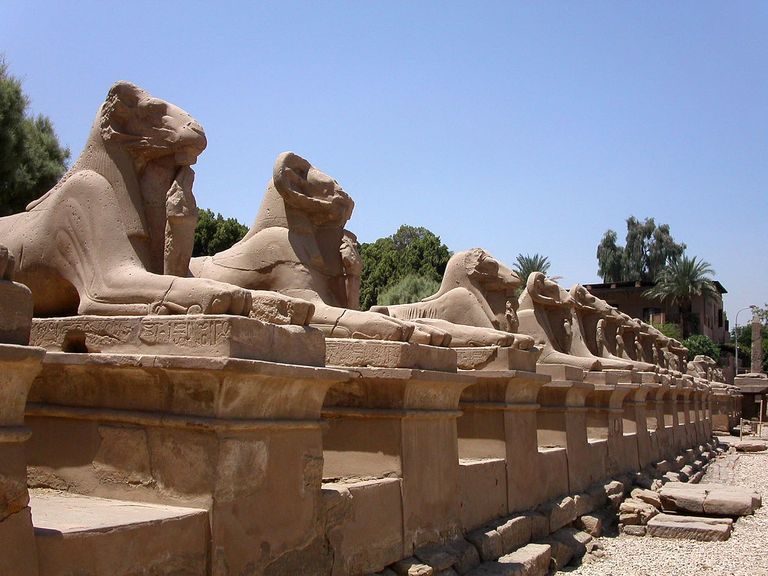 طريق الكباش بالأقصر