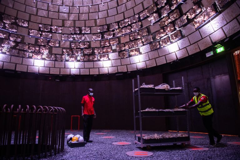 إكسبو 2020 دبي.. ثورة في عالم البناء بمواد مستدامة صديقة للبيئة