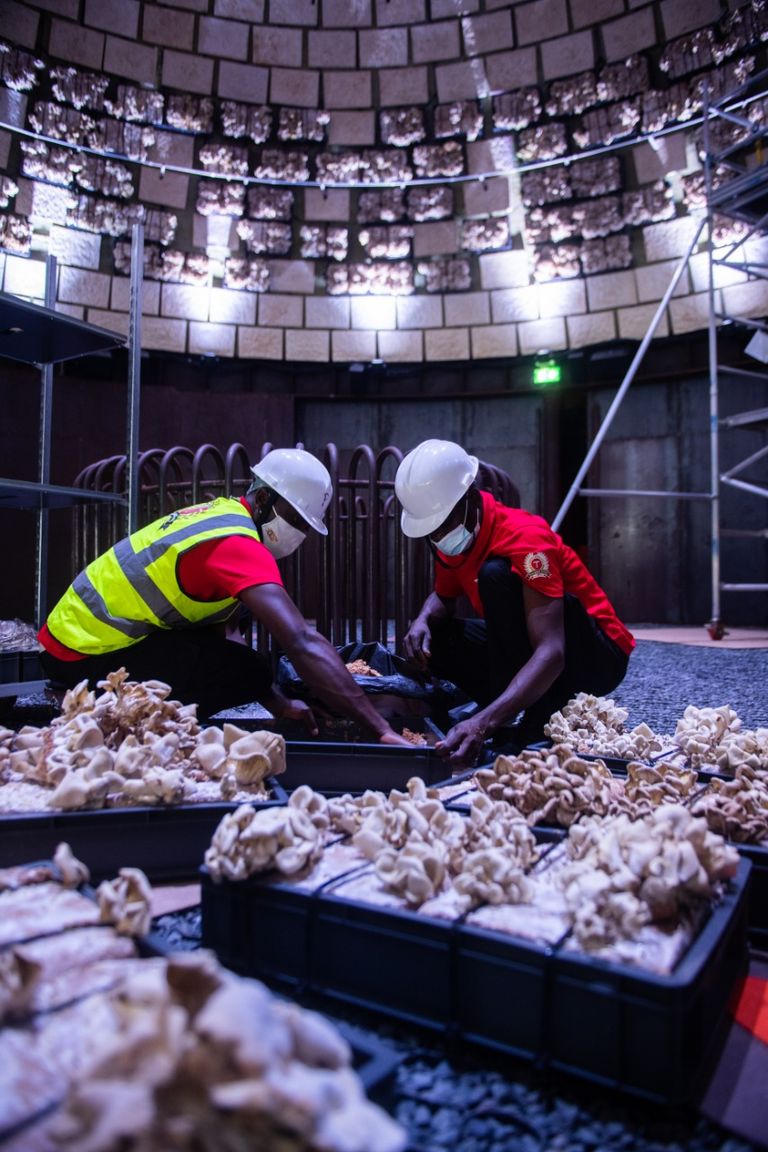 إكسبو 2020 دبي.. ثورة في عالم البناء بمواد مستدامة صديقة للبيئة