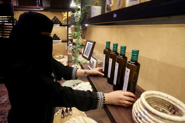 مورينجا العلا.. محصول سعودي وفير ينافس التمور والموالح المورينجا تنافس التمور في السعودية