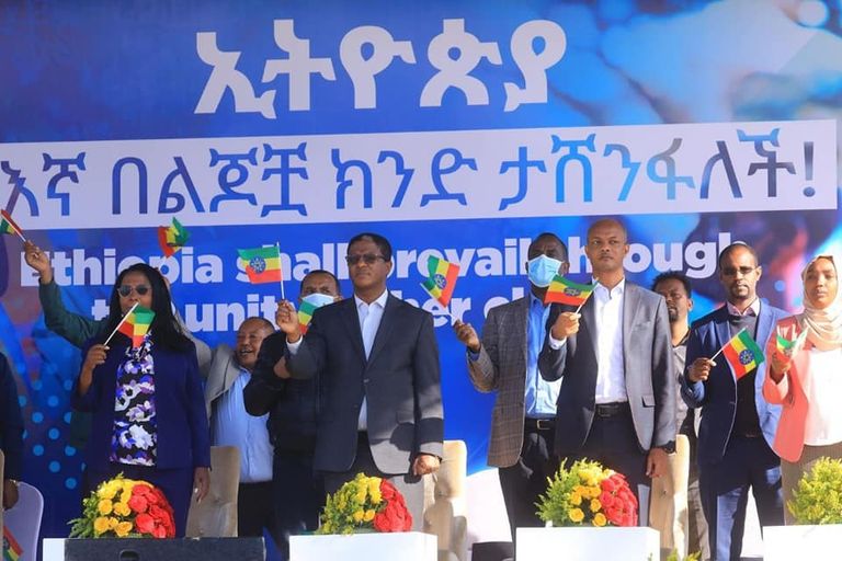 جانب من الحشود الداعمة للحكومة الإثيوبية بأديس أبابا 