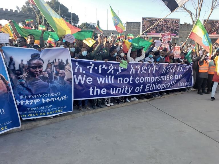 جانب من الحشود الداعمة للحكومة الإثيوبية بأديس أبابا 