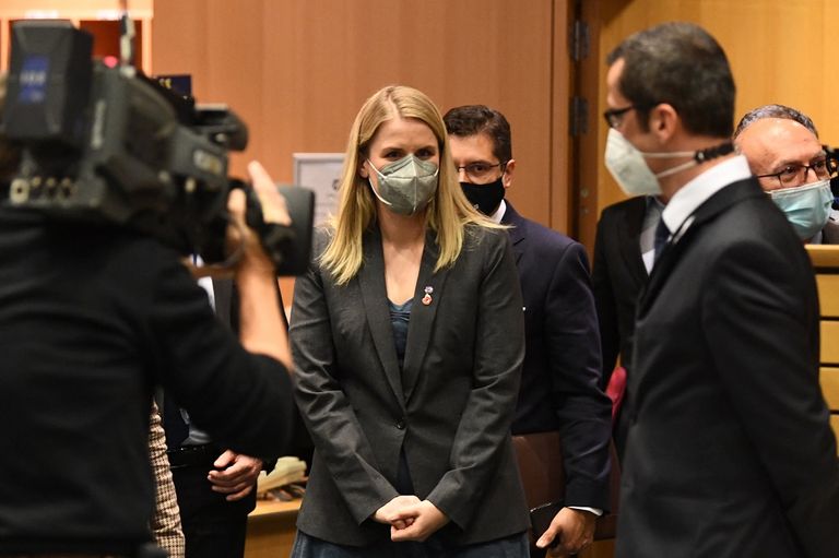 فرانسيس هوجن في البرلمان الأوروبي فرانسيس هوجن في البرلمان الأوروبي