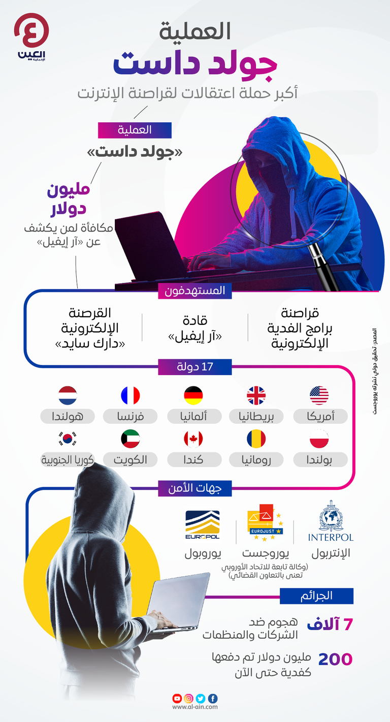 مطاردة قراصنة الإنترنت في 17 دولة