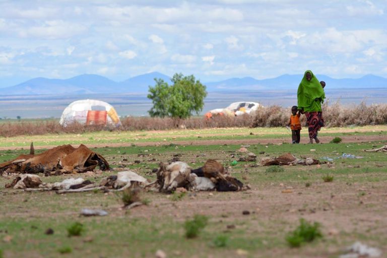 سيدة تحمل طفلها على ظهرها