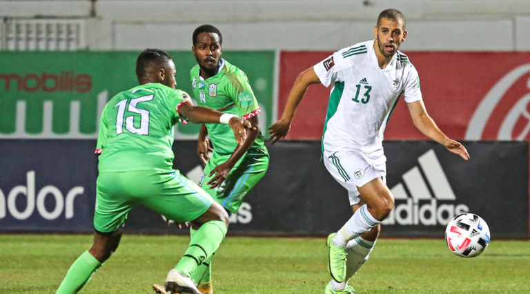 منتخب الجزائر منتخب الجزائر