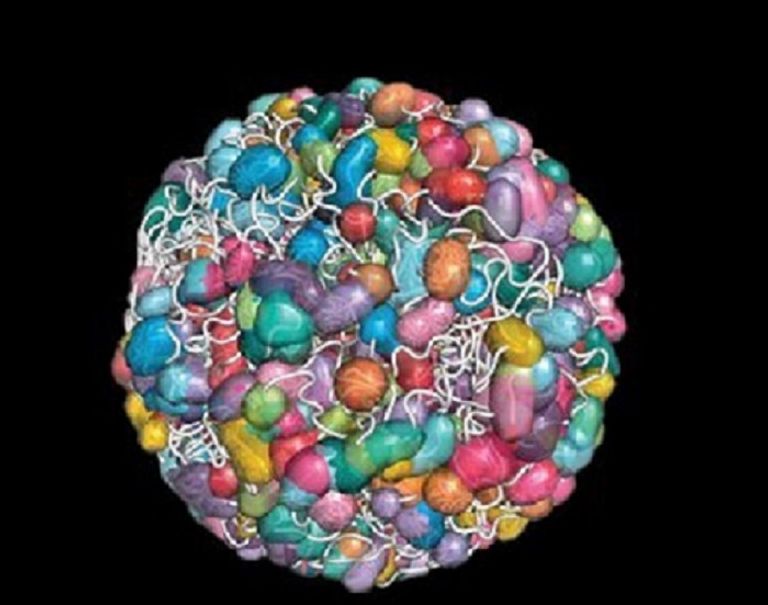 تصور فني لشكل مكتبة الجينوم مكتبة الجينوم تحتوي آلاف الملفات لتنظيم التعبير الجيني