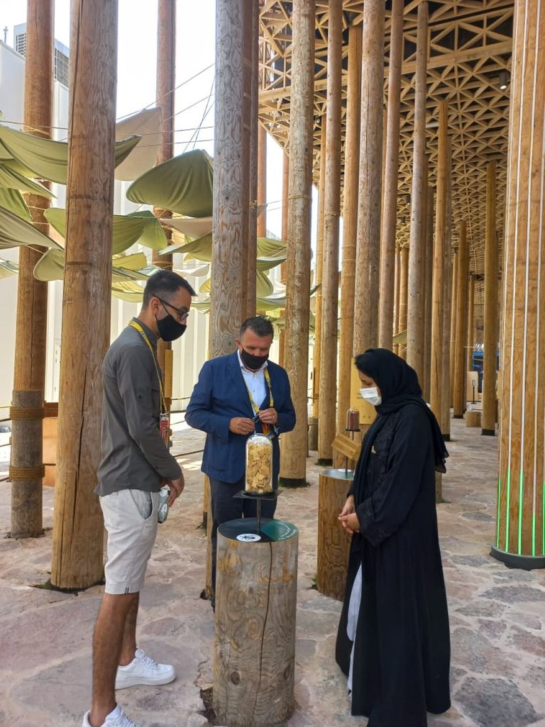 جناح السويد في إكسبو دبي