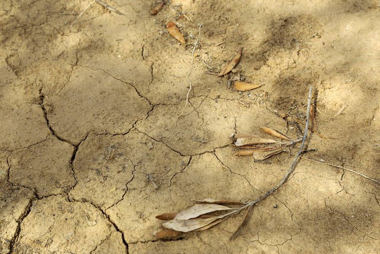 الجفاف يهدد بحرمان مئات المزارعين من مصدر رزقهم