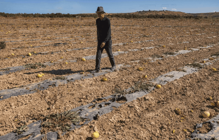 الجفاف يهدّد الأراضي الزراعية والتنوع البيولوجي في المنطقة