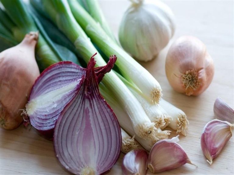 أكلات تقتل جرثومة المعدة جرثومة المعدة تحدث نتيجة الإصابة بنوع من البكتيريا - أرشيفية