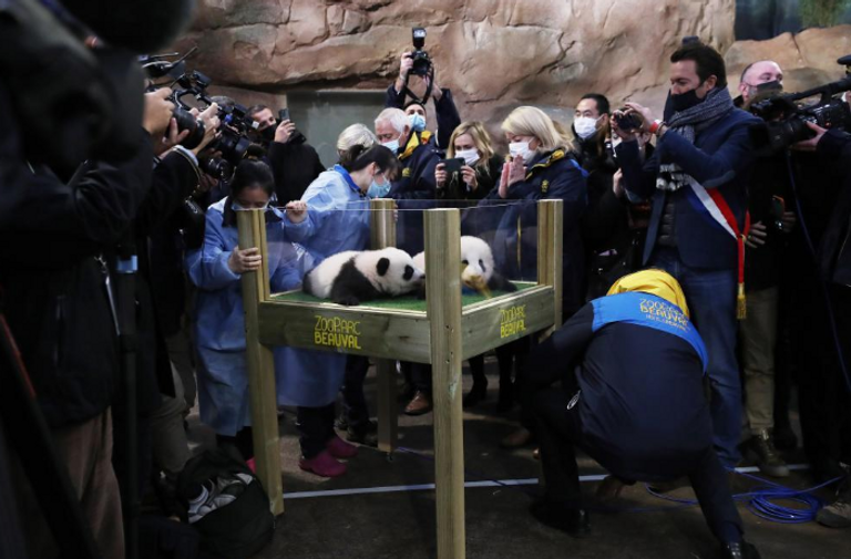 الصينية تشانج جياكي والفرنسي كيليان مبابي مع توأمي الباندا