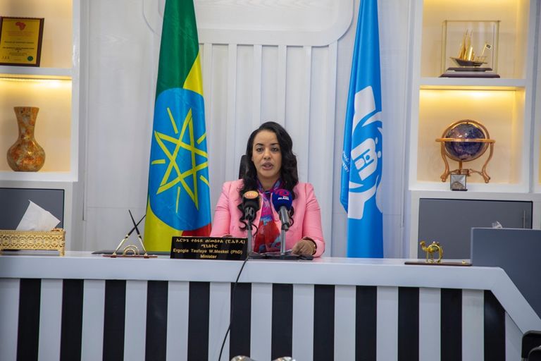 إرجوغي تسفاي