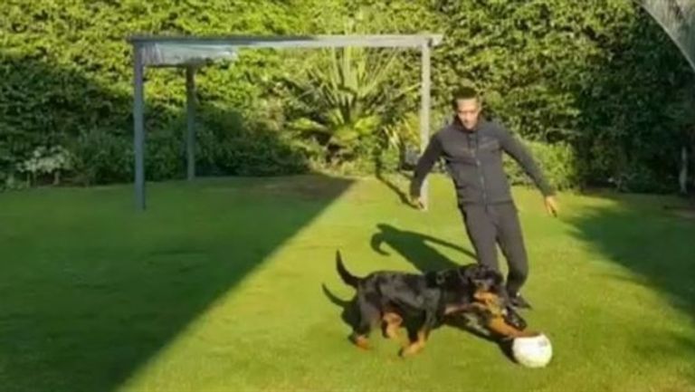 الفنان المصري محمد رمضان