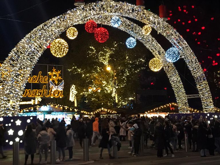 جانب من مظاهرات اليوم في فيينا