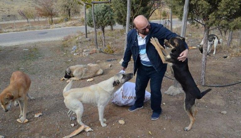 التركي يوجل وسط الكلاب التي يعتني بها