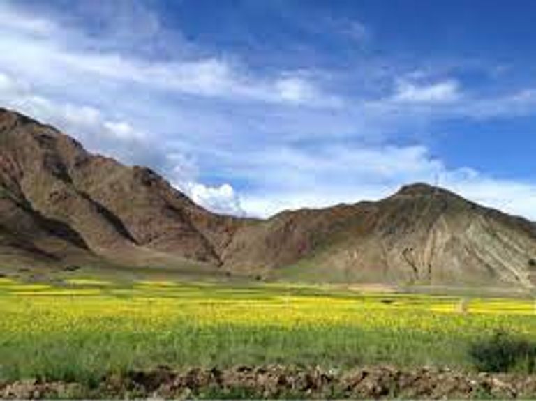 جبال Jingmai بمدينة "يونان" الوجهات السياحية رشحتها ناشيونال جيوجرافيك لعام 2022