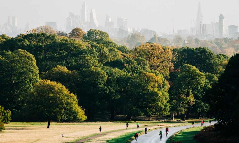 حديقة "ريتشموند" حديقة