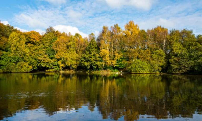 حدائق مانشستر حديقة